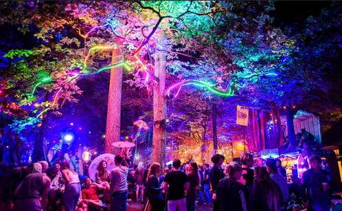 Into the Woods Festival Zaterdag, Tickets en Kaartjes, Evenementen en Festivals, Drie personen of meer