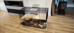 Hamsterkooi Ferplast 100 incl. tafel, Dieren en Toebehoren, Knaagdieren en Konijnen | Hokken en Kooien, 60 tot 90 cm, Kooi, 75 tot 110 cm