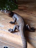 Brons beeld varaan / hagedis.
Reptiel, Ophalen of Verzenden, Brons