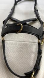 Micklem Rambo Full hoodstel, Ophalen of Verzenden, Gebruikt, Dressuur