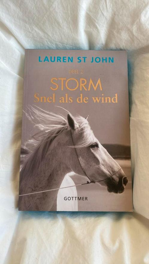 Lauren St John - Snel als de wind, Boeken, Kinderboeken | Jeugd | 10 tot 12 jaar, Zo goed als nieuw, Ophalen of Verzenden