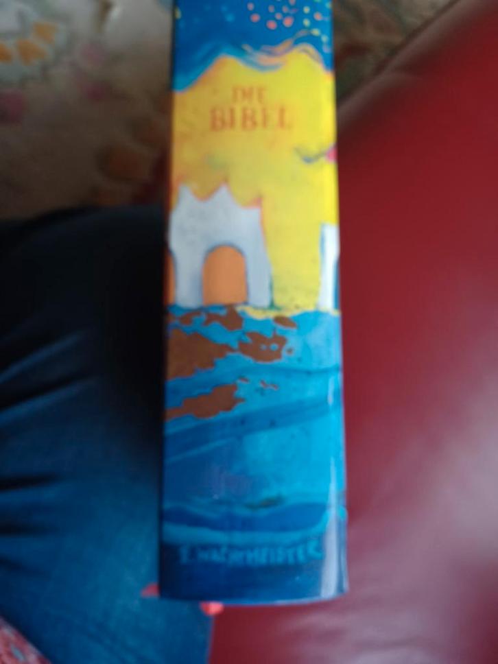 Bijbel Rosina Wachtmeister geïllustreerd - Complete Uitgave, Antiek en Kunst, Antiek | Boeken en Bijbels, Ophalen of Verzenden