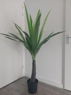 IKEA palmboom kunstplant, Huis en Inrichting, Woonaccessoires | Kunstplanten en Kunstbloemen, Zo goed als nieuw, Ophalen