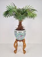 Vintage Chinese porselein bloempot & standaard & kunstplant, 25 tot 40 cm, Binnen, Rond, Gebruikt