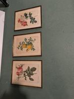 Oude rozenprent, ingelijst, Ophalen, Gebruikt, Prent, Natuur