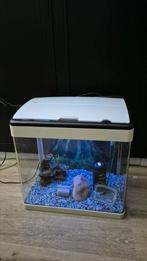 Superfish panorama 50 liter aquarium, Dieren en Toebehoren, Vissen | Aquaria en Toebehoren, Ophalen, Gebruikt, Leeg aquarium