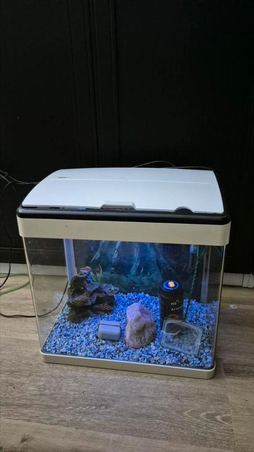 Superfish panorama 50 liter aquarium, Dieren en Toebehoren, Vissen | Aquaria en Toebehoren, Gebruikt, Leeg aquarium, Ophalen