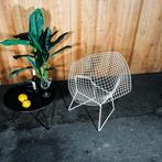 Knoll International - Diamond Chair Outdoor - Fauteuil - Wit, Gebruikt, Verzenden, 75 tot 100 cm, 75 tot 100 cm