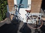 Gazelle miss grace damesfiets, Fietsen en Brommers, Fietsen | Dames | Damesfietsen, Ophalen, Versnellingen, Gazelle, 53 tot 56 cm