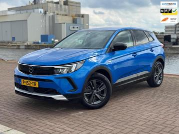Opel Grandland 1.2 Turbo Business Elegance, 1e Eig / 12mnd G beschikbaar voor biedingen