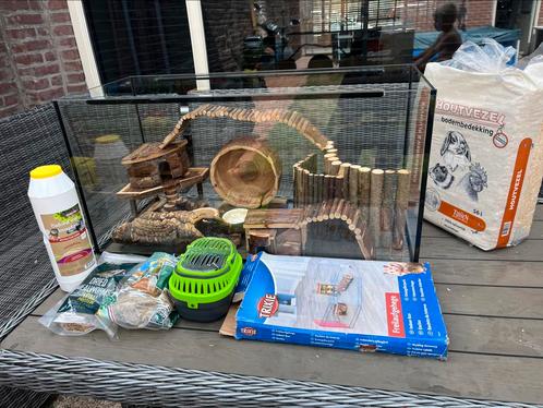Hamsterscaping, kooi met toebehoren, Dieren en Toebehoren, Knaagdieren en Konijnen | Hokken en Kooien, Gebruikt, Hok, Minder dan 60 cm