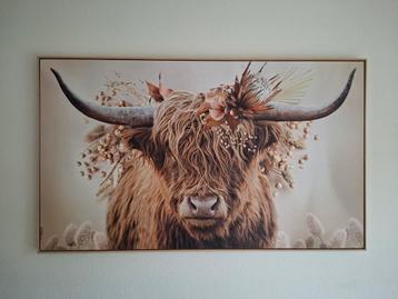 Hooglander met bloemen beschikbaar voor biedingen