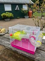 dwerg hamsterkooi met buizenstelsel en verdieping enz., Dieren en Toebehoren, Minder dan 60 cm, Kooi, Minder dan 75 cm, Ophalen of Verzenden