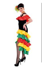 Mooie Braziliaanse jurk nieuw voor carnaval! Samba dress, Nieuw, Carnaval, Ophalen of Verzenden