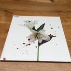 Vinyl, The Cult - Hidden City : Bieden vanaf 35 Euro., Ophalen of Verzenden, Zo goed als nieuw, 12 inch, Poprock