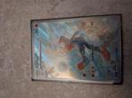 Pokemon kaart raboot, Antiek en Kunst, Kunst | Schilderijen | Abstract, Ophalen of Verzenden