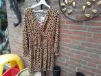 Nieuwe Jurk Mango Met kaartje, Ophalen of Verzenden, Nieuw