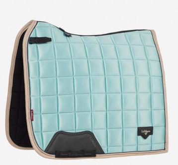 Lemieux aqua full dressuur te ruil beschikbaar voor biedingen