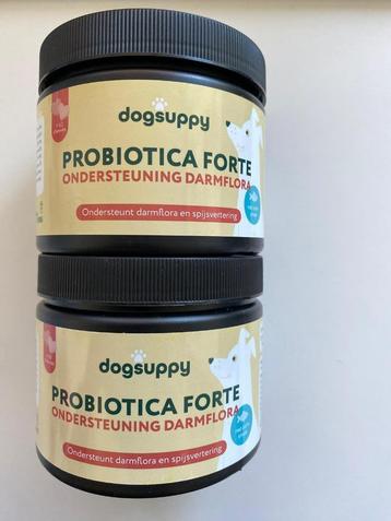 Nieuw: Probiotica Forte Dogsuppy (voor darmflora hond) beschikbaar voor biedingen