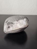 Scoleciet nr18, Ophalen of Verzenden