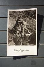 vintage kaart Hartelijk Gefeliciteerd (kind met Herdershond), Verzamelen, Ansichtkaarten | Themakaarten, Feest(dag), Ongelopen
