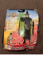 Halloween kostuum wicked witch maat 4-6 jaar, Ophalen of Verzenden, Nieuw, Jongen of Meisje