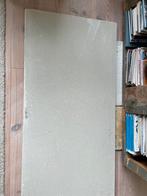 Promatec plaat 1250x631x22, Ophalen, Zo goed als nieuw