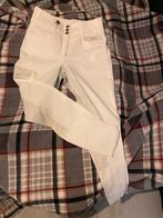 Pikeur candela wit 42, Dieren en Toebehoren, Paardrijkleding, Ophalen of Verzenden, Zo goed als nieuw, Dressuur, Onderkleding