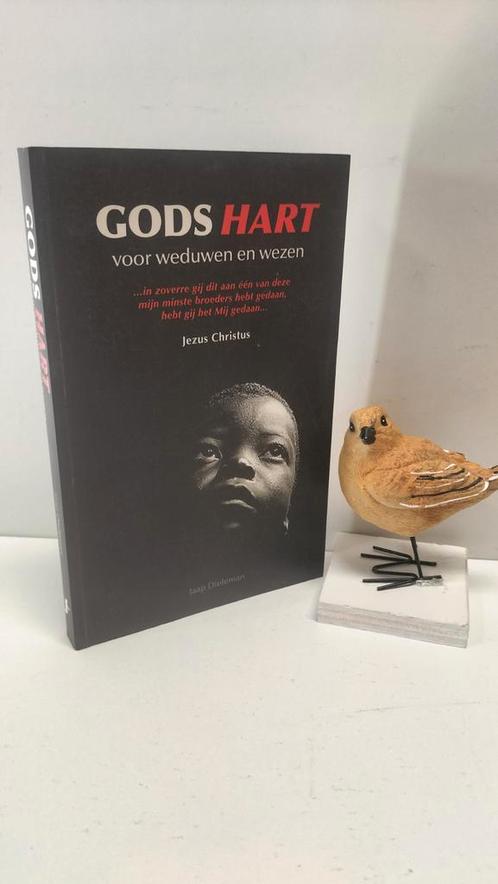Dieleman, Jaap; Gods hart voor weduwen en wezen, Boeken, Godsdienst en Theologie, Gelezen, Christendom | Protestants, Ophalen of Verzenden