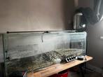 Aquarium 120x40x40, Ophalen, Gebruikt, Leeg aquarium