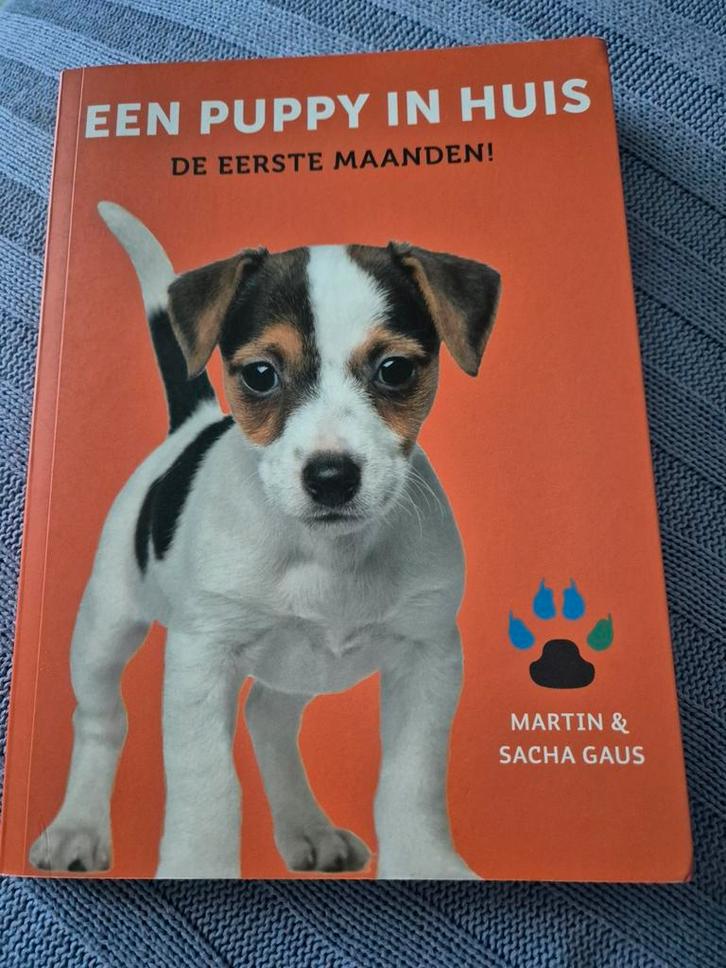 Een puppy in huis - Martin Gaus, Boeken, Dieren en Huisdieren, Zo goed als nieuw, Honden, Ophalen of Verzenden
