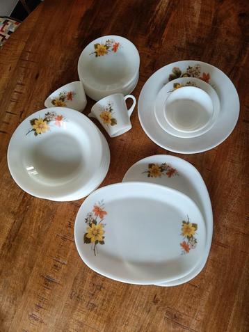 Vintage acropal servies beschikbaar voor biedingen