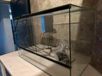 Glazen terrarium 50x40x35, Ophalen, Zo goed als nieuw
