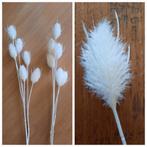 2st Kardoen distel wit kunstbloem / samen voor, Ophalen of Verzenden, Nieuw