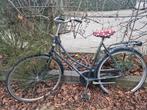 Stadsfiets / Omafiets, Ophalen, Onbekend, Versnellingen, 53 tot 56 cm
