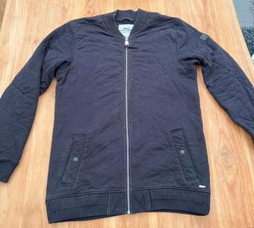 Bomberjack mills brothers beschikbaar voor biedingen