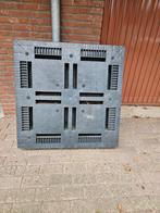 Pallet kunststof, Doe-het-zelf en Verbouw, Kratten en Dozen, Ophalen, 100 cm of meer, 60 cm of meer, Overige typen