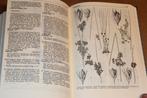 Heukels' Flora van Nederland — Hét Standaardwerk [21e Druk], Ophalen of Verzenden, Zo goed als nieuw, Bloemen, Planten en Bomen