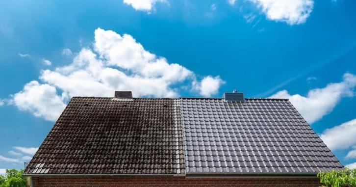 🧼 Dak & Terras Reinigen – Laat je huis weer stralen! ☀️, Diensten en Vakmensen, Aannemers, Nieuwbouw of Opbouw, Onderhoud of Restauratie