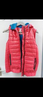 Vingino Bodywarmer maat 12 jaar, Jongen of Meisje, Ophalen of Verzenden, Zo goed als nieuw, Vingino