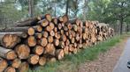 Eiken stammen brandhout, Ophalen of Verzenden