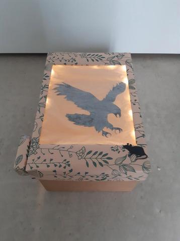 Sinterklaas surprise silhouette Arend / roofvogel met licht beschikbaar voor biedingen