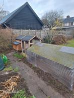 Kippenhok voor 6 a 8 dwerghoenders of kippen, vogelproof, Dieren en Toebehoren, Pluimvee, Meerdere dieren, Kip