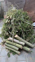Haardhout openhaardhout, Tuin en Terras, Haardhout, Minder dan 3 m³, Ophalen, Overige houtsoorten, Stammen