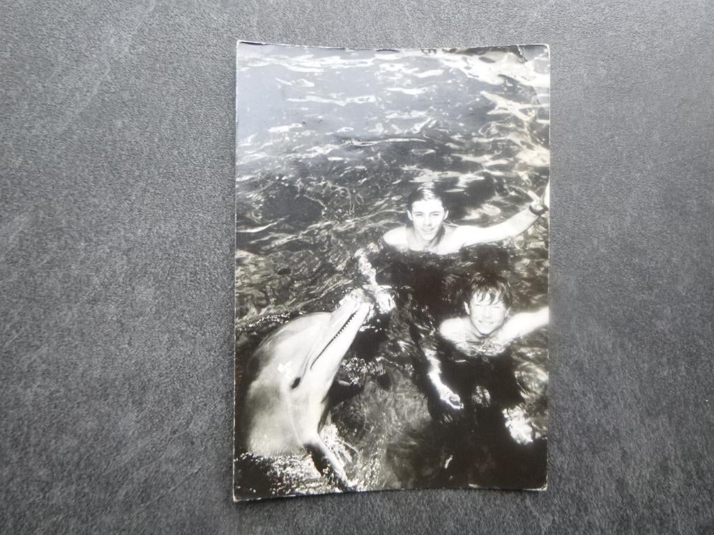 Ermelo, camping het Plaggegat, Flipper, Verzenden, 1980 tot heden, Ongelopen, Gelderland