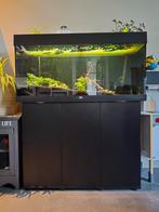 Juwel Rio 180 met vissen, Ophalen, Gebruikt, Gevuld zoetwateraquarium