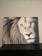 Prachtige leeuw op canvas. 130x100cm z.g.a.n., Zo goed als nieuw, Ophalen