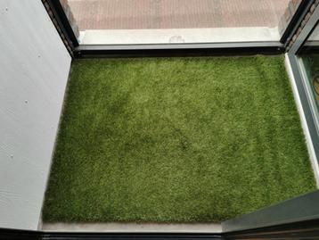 Kunstgras (160 x 115 cm)  beschikbaar voor biedingen