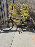 Trek Daytona fiets, herenfiets, jongensfiets, fietsen, Gebruikt, Versnellingen, 49 tot 53 cm, Ophalen