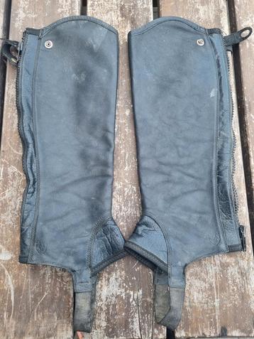 Ariat concord chaps beschikbaar voor biedingen